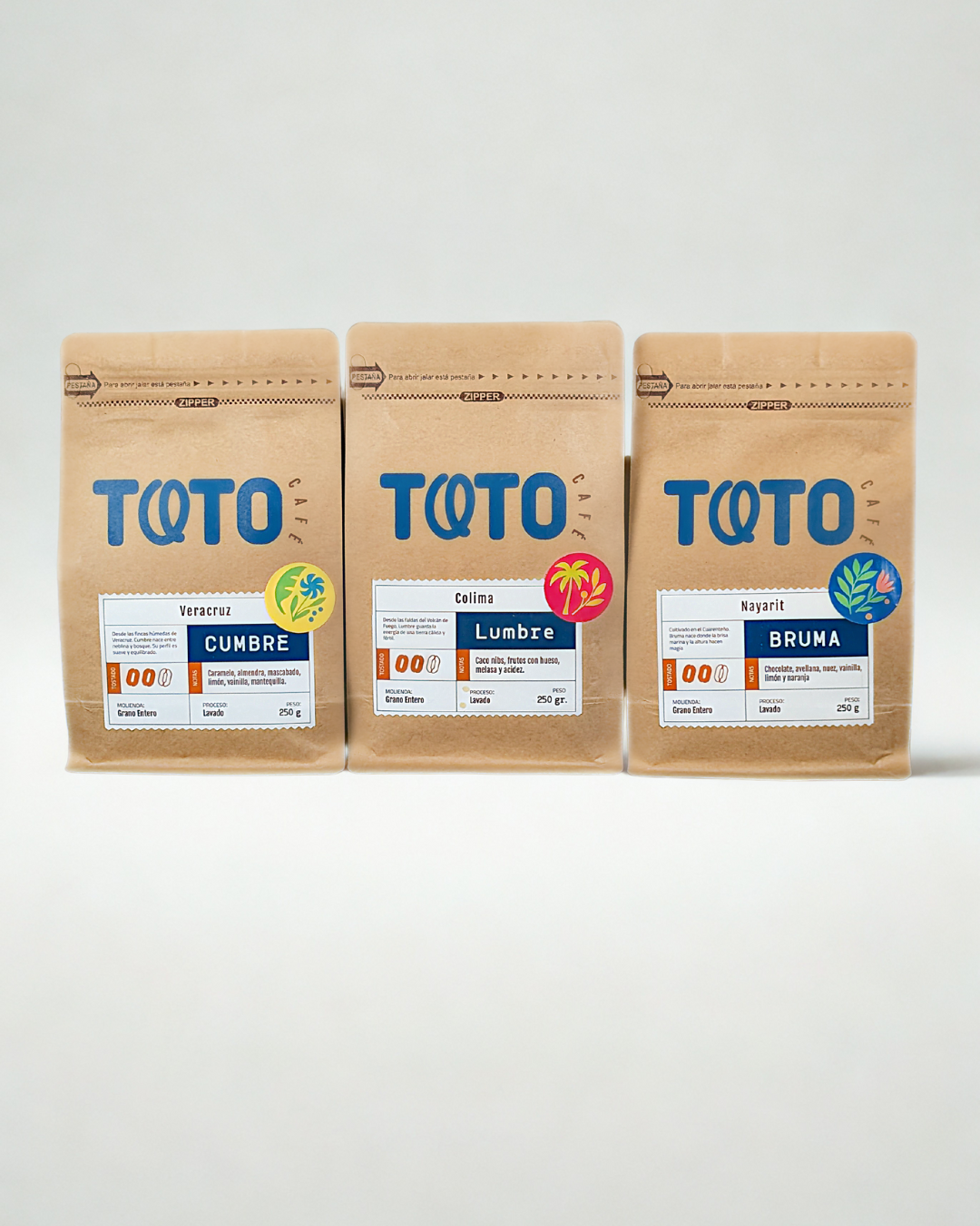 De la Bruma al Volcán