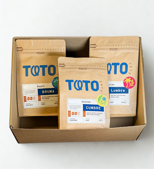 De la Bruma al Volcán