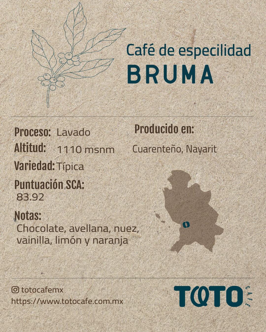 Bruma