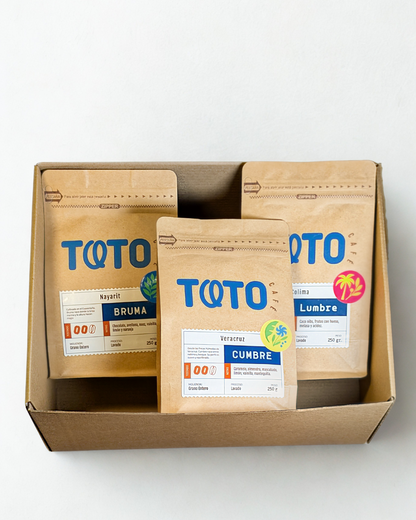 De la Bruma al Volcán