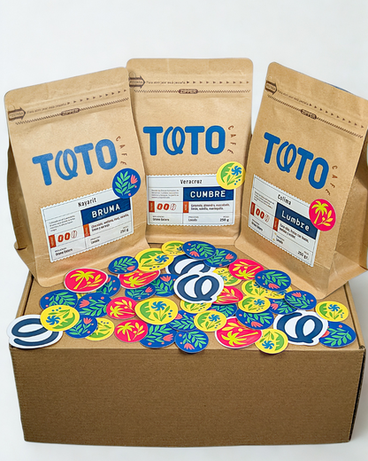 De la Bruma al Volcán