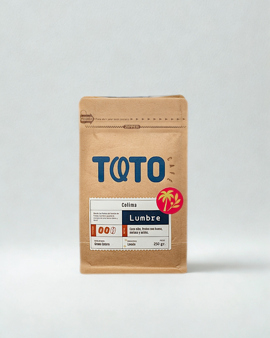 🌋 Lumbre - Colima